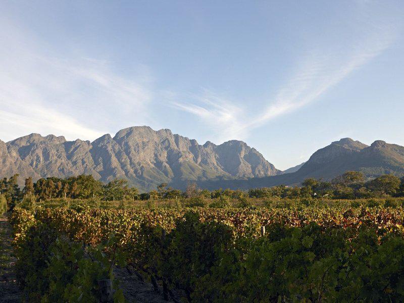 110C873414DE248FDC071C81D89B61A3