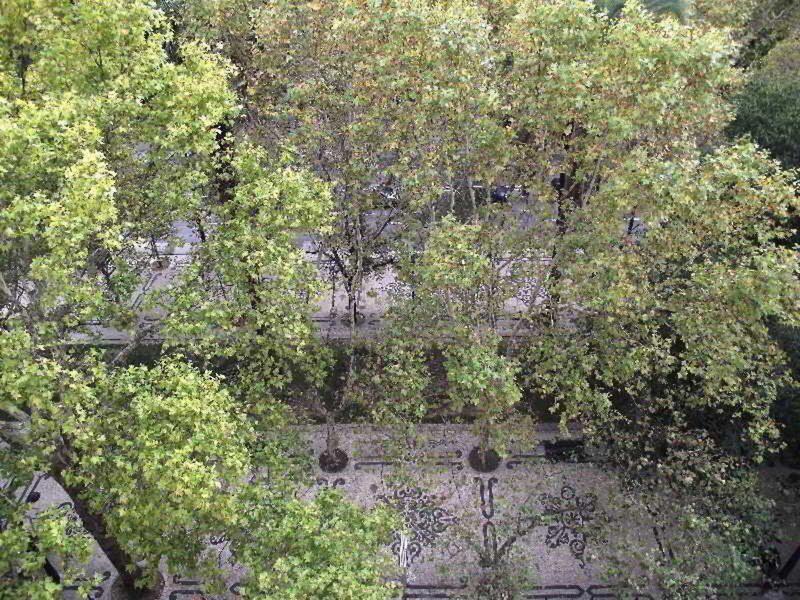 1C8868E6C7B2D7B449C0ED6961565D96