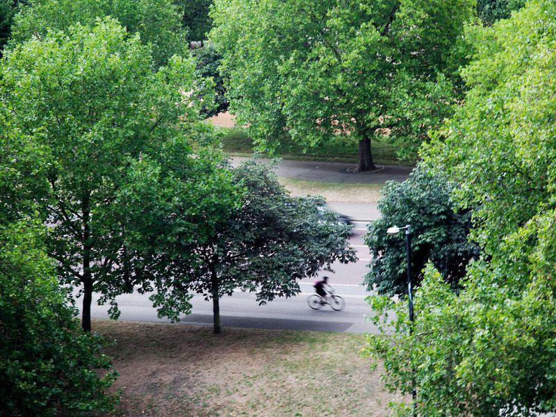 77436D0F17200BA8B795A44C6EE7B6E8