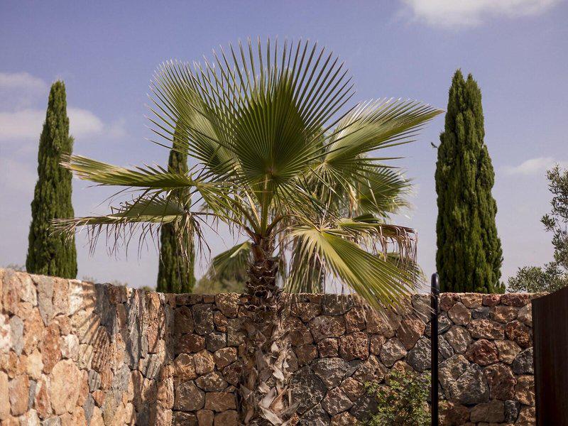 0ECCD166970FCECED31600FB41E7178E