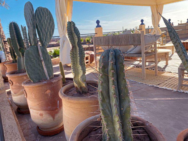 4995A2E1C866CB95F888C1084BE8D130