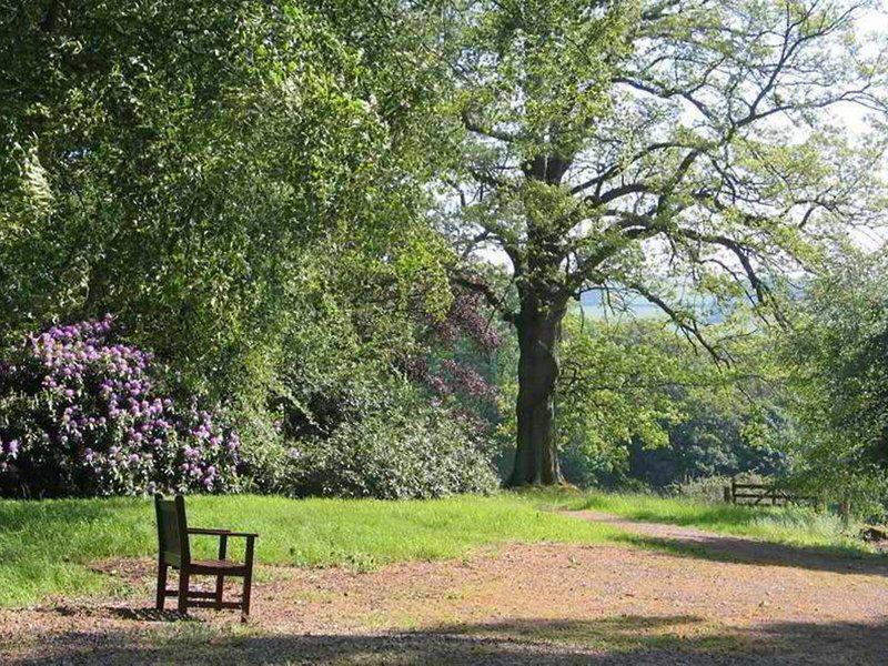 BCC480B944D25D8EACB98DDBCD32874D