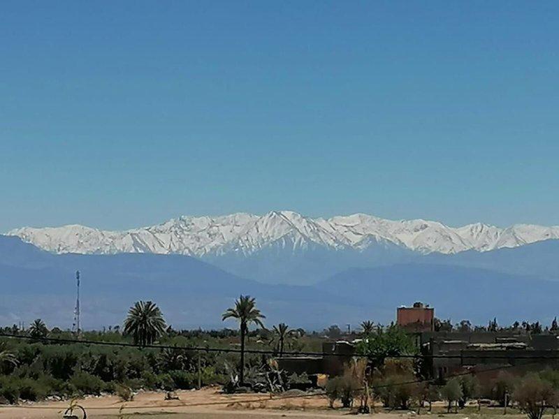 7A078CEC295D1448F9487ADCFFBCA29B