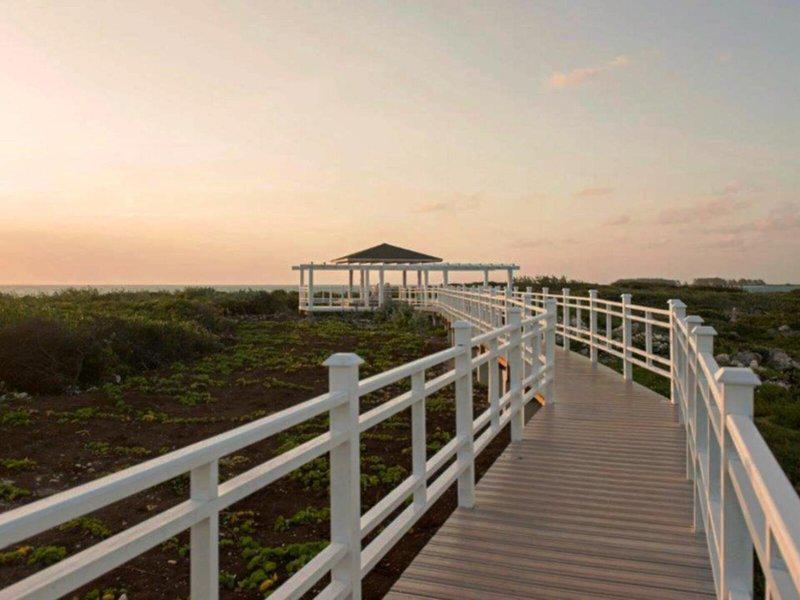 22090FEAA5B8FFFA070311965C20030D