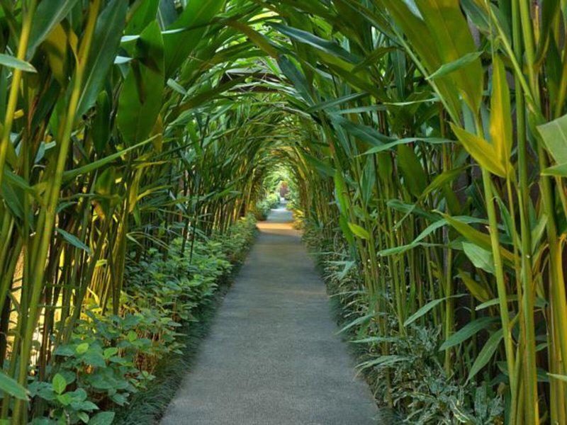 1A635CB3E3AC0C7350A9ECDD1C171497