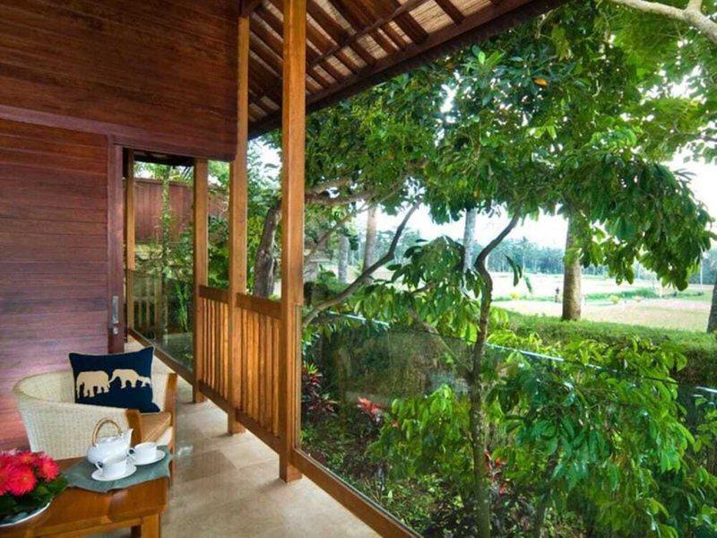 7ABF6D82C4AAA8E9FF7129E7EB8218E0