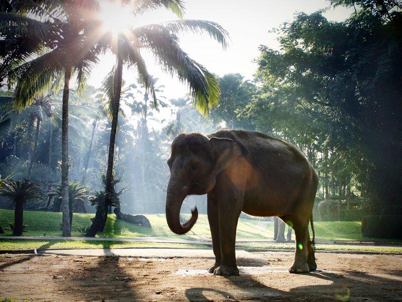 A2BBAD9B1FCD8D2A5A55396A5D7A0038