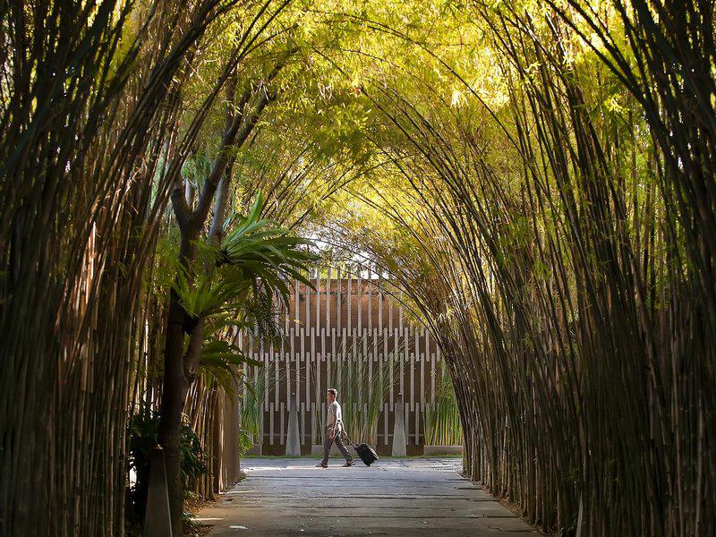 C2B562A6F54FE54405950EBA7870B595