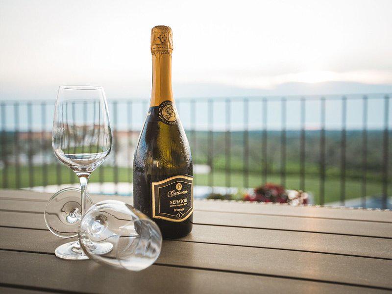 043DD9634A76B51701B257317BE8D8C3