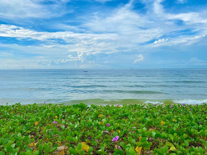 AE7712113F3AE8608B48919DC69B9A1C