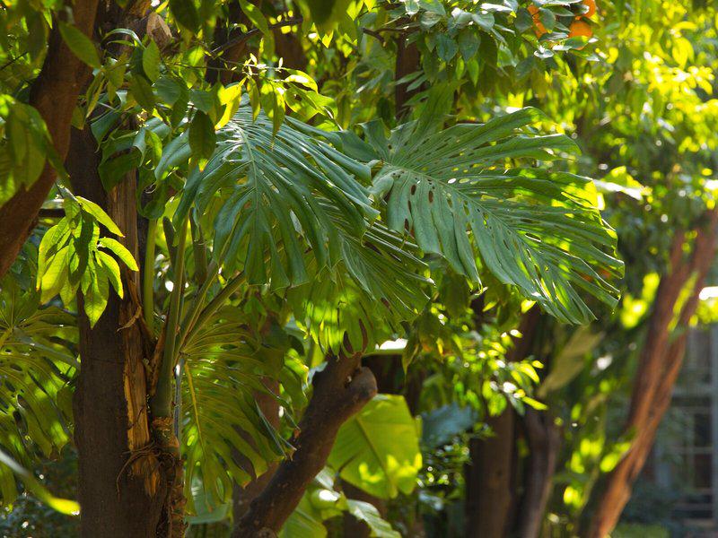 166E525339B630731CD94443CEEB349F