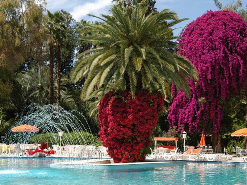 0E7E57FC7FDE868CCB5A52D3741EA0C1