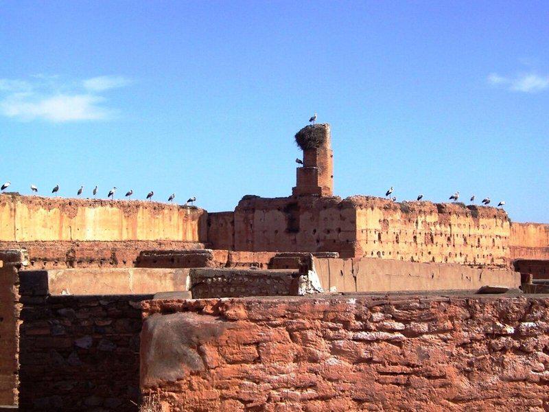 A7094ACB0BD62963FBAAEFED037B1EA7