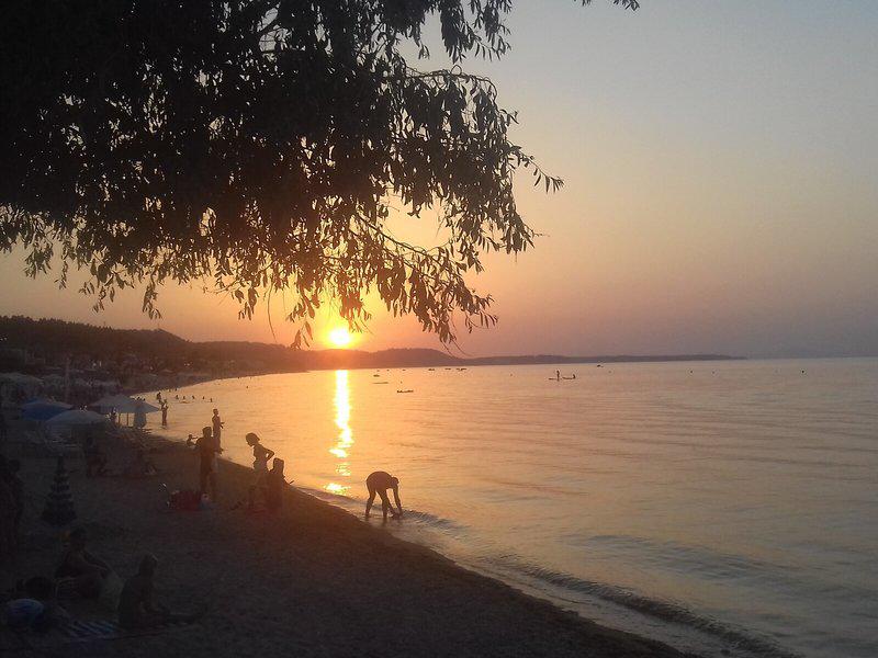 9C1B3A44E74DF578B70ABF762ED5F8BF