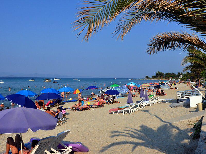 9CFC04380C9B51CD05D9B376F5BE13C5