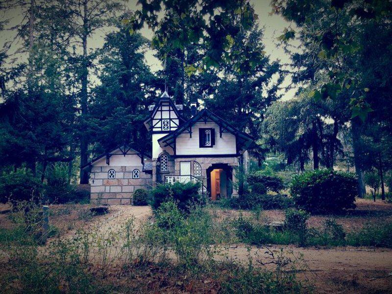 B065BCAF80A997C079FE9351AD17B30F