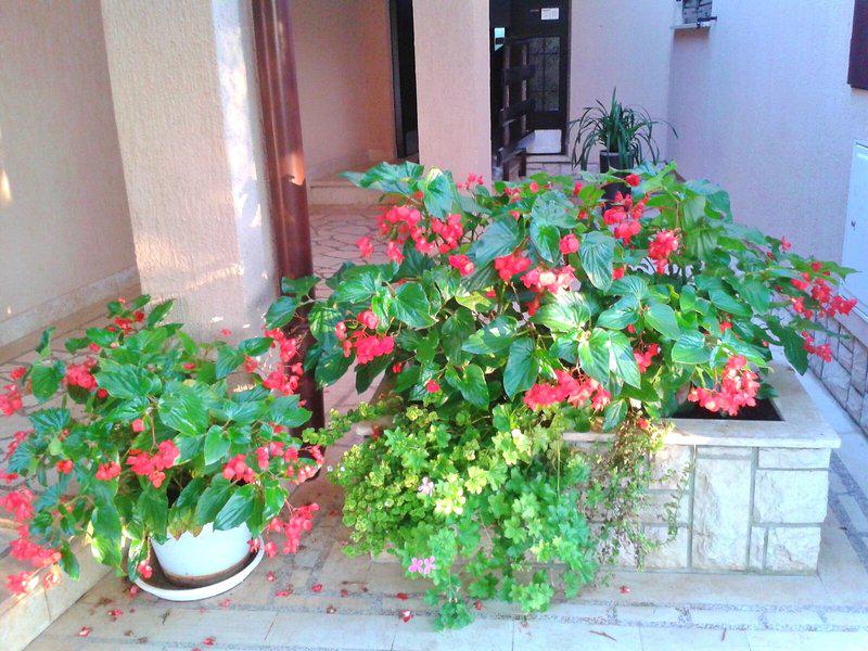 0CDC081D0CE7D4B1C235F541F958F803