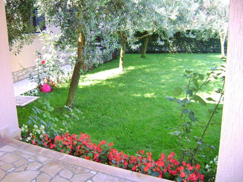 1A1C1D58E687AEC5E01C18B8EF65DA32