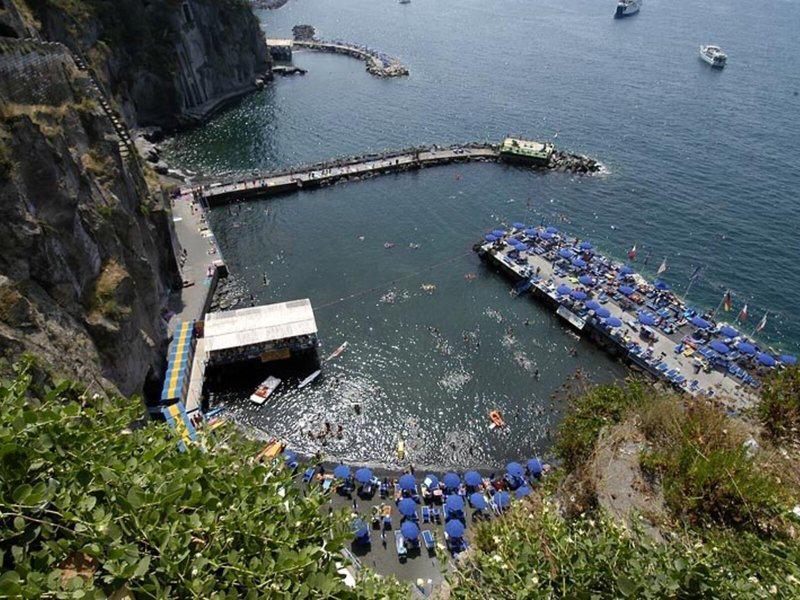 24F4C23AEE762C23C29B445122BA5238