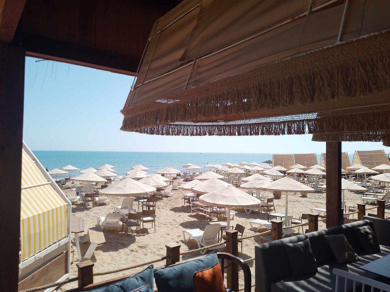 FF88DB6E8C2392EDB45168C01FA9D66A