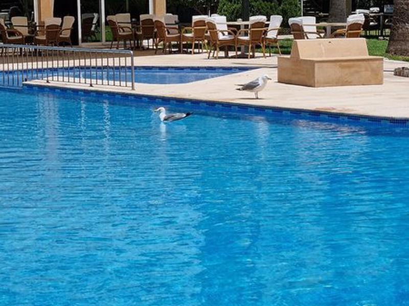 D88FA7564A88013DB7CAAC9262115A6A