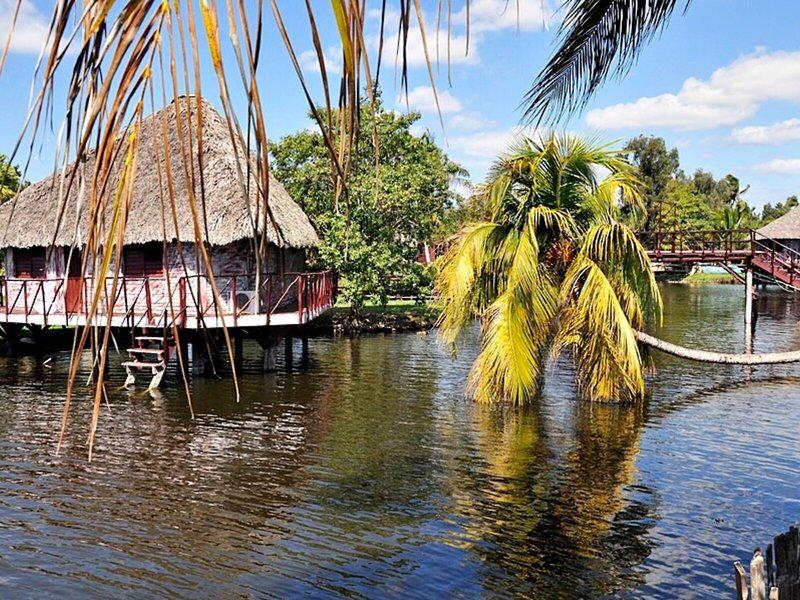 0004E2E905C9EEF4881DFFC818D7A897