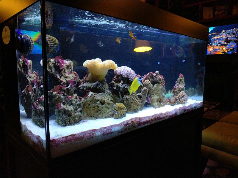 D5F1FE8D26FFC77052587B91D07C266F