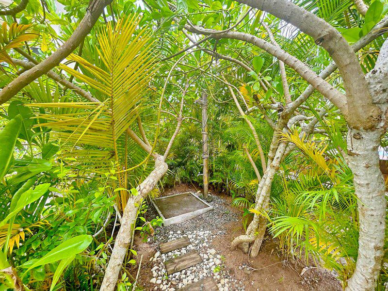 C19FD0F208F164B4E7D17023D6AB7599