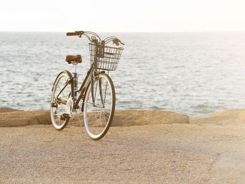 D1F53AEFB234E1CD6A08FC5C62ED0409