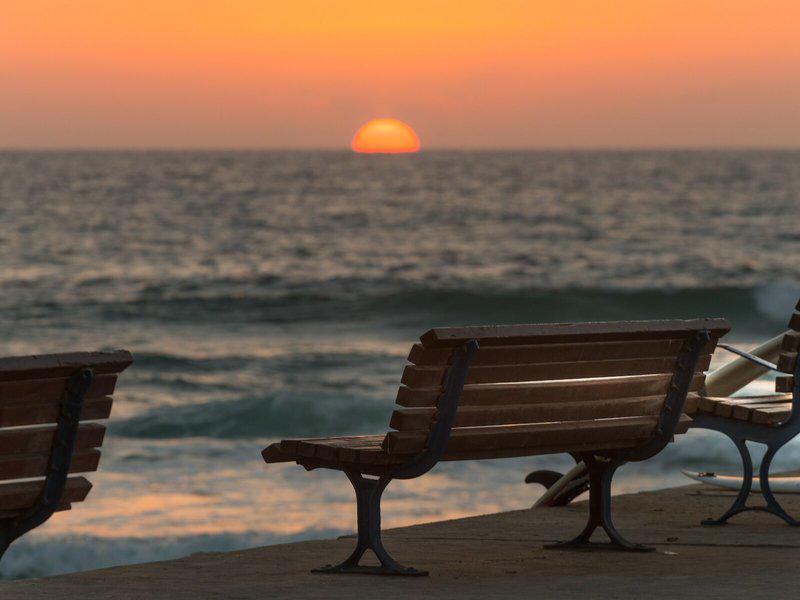 45DCBB416C66C36F2C94AA71C8F66217