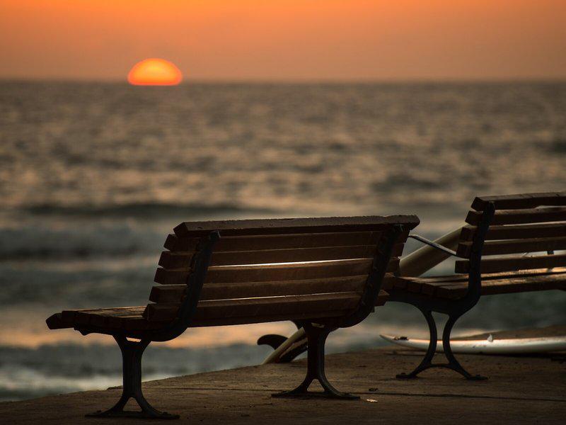 477654C9A324420E4DC0B738263F4FD9