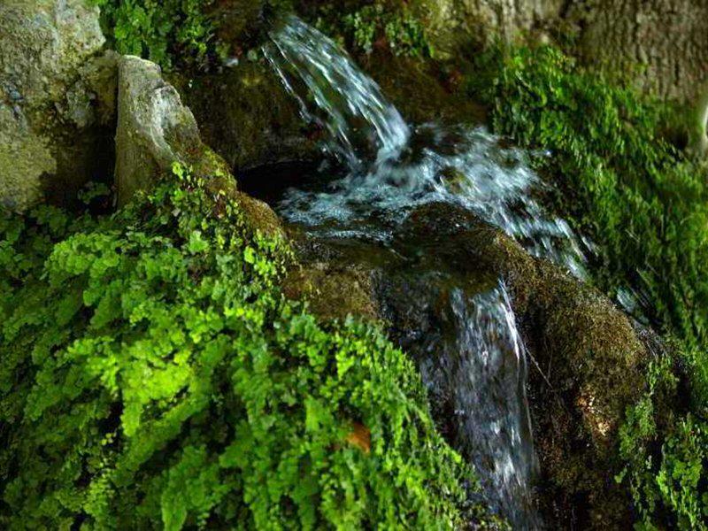 B413E859D499830299DC2902A40A43E0