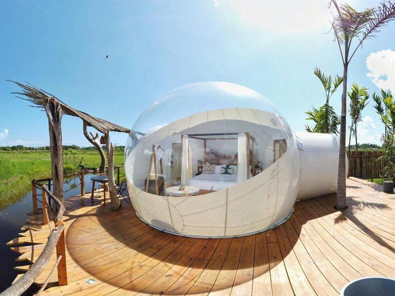 9AAD4CA5954EFE6117109D855550D6E8