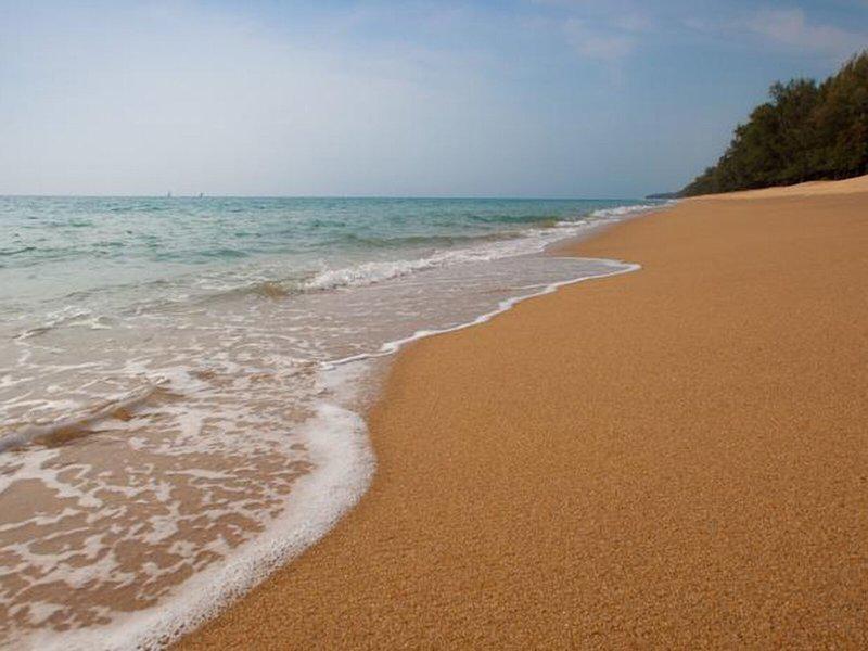 288A4ABF725588D4EC9B1FC21F383006