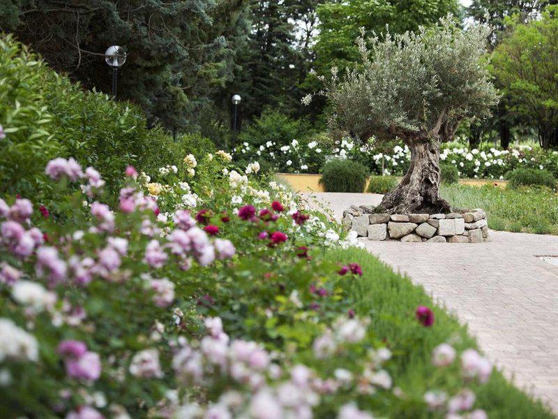 E54567CD7B04899CB80A6554AD1D1CE9