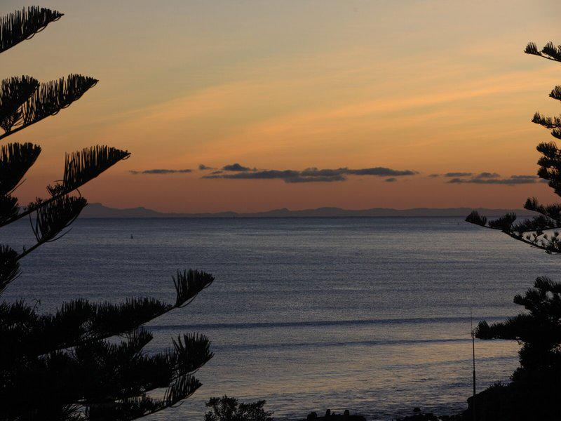 0285BF6D7A605A26425E59684CF3B56C