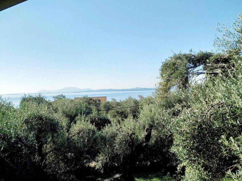 230D31C1058D1B533EF7DFE0AE54CC23