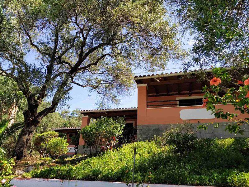 6229D1694A39A9FEBE8A6F18E798D2B9