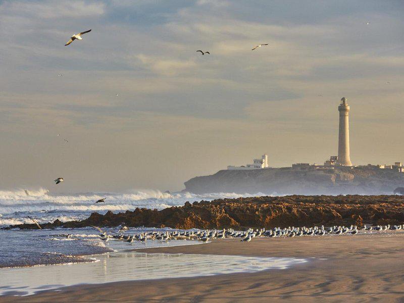 4EFDE49147841A6A2793F00DE4CD6D45