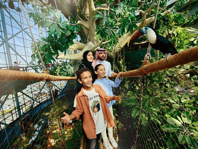 AE4F45C34A94F109ABA4175802819B53