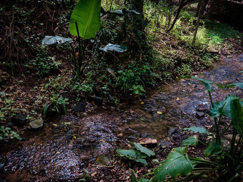 D77F1544C584D425655743D0A674860C