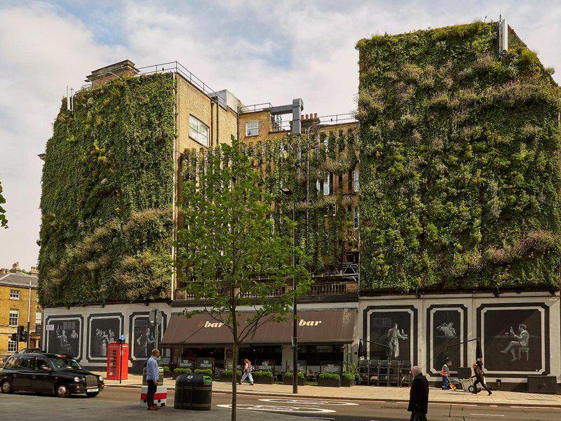 081FC60D32E74805E995CB5689E3D682