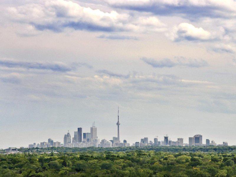 DB16FEE3F23453C6EE88921C2D2E61E5