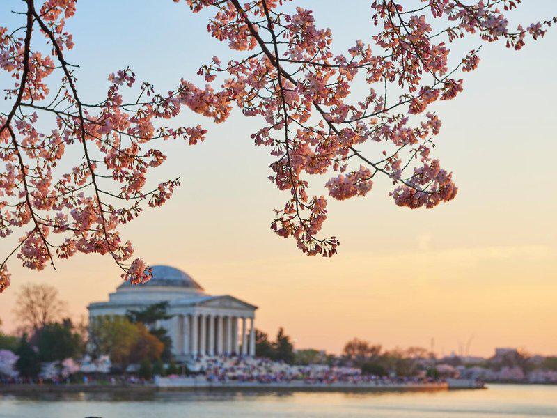 215ADCD71A95B2BE3B80E5A6BF03FEB1