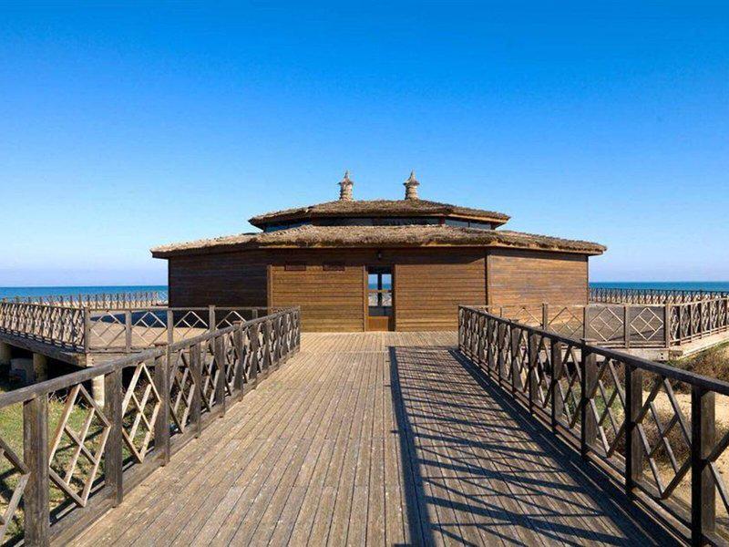 989F7E2B3E821B7538F79FF4EB8EECE8