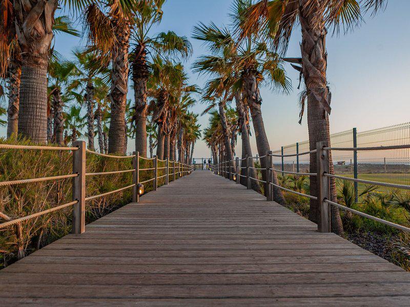 DE6C308E71D46F84629AC881CE862867