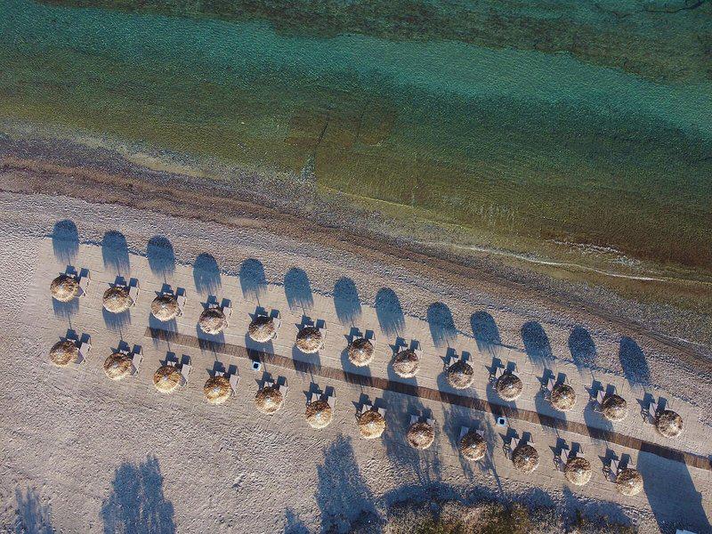 E4C870DBC68FAEC99D9A5F83C191D962