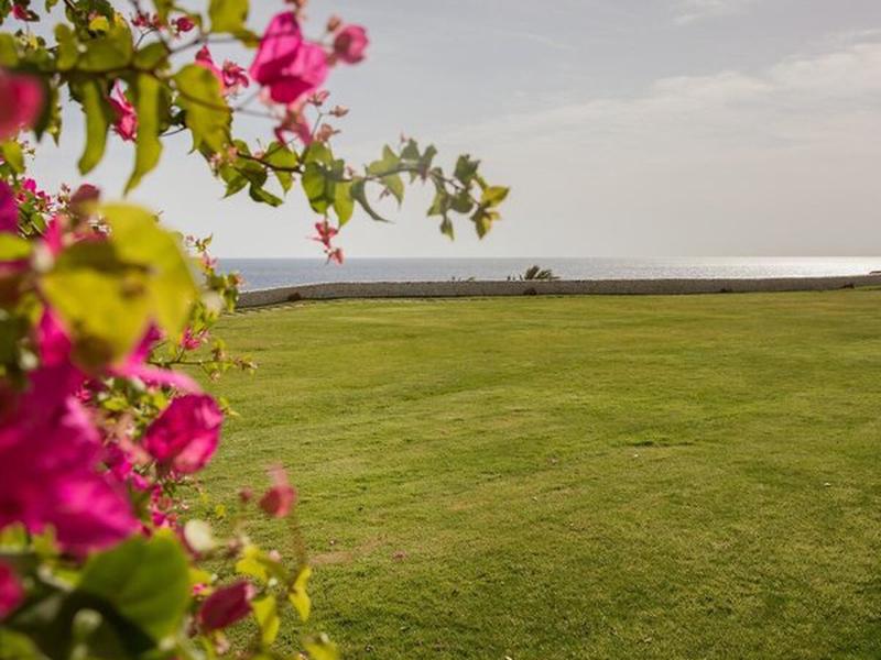 D6B0906BE0597E852132828FCDB23EF7