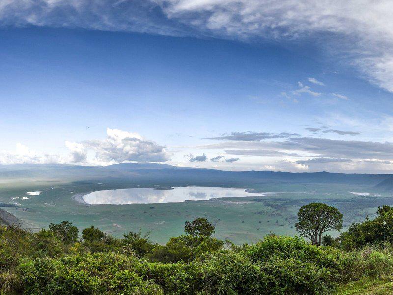 33801C4F0F9A84E8E8B74471B033C746