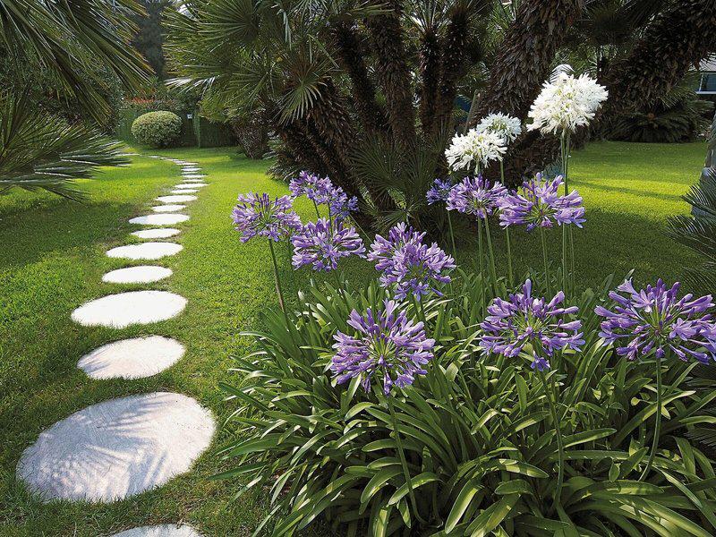 DC7F46AD376BE819CA872A60ED8BABAC